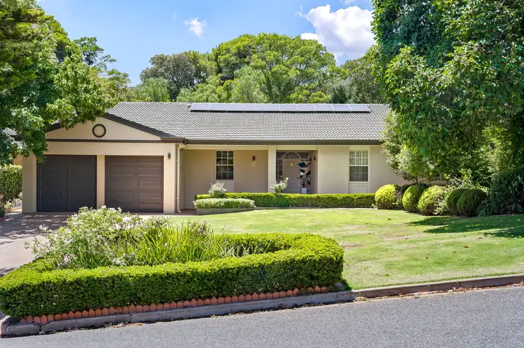 19 Coreega Avenue, Springfield SA 5062