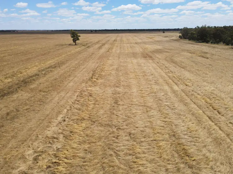 Second view of Homely rural property listing, 233 Warbilla Road, Barmedman NSW 2668