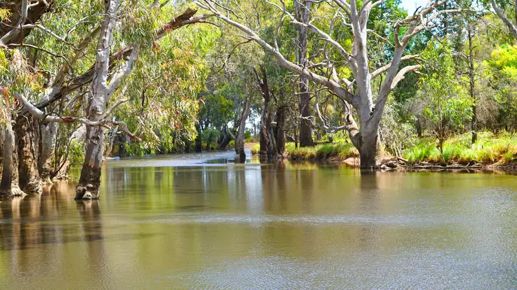 Fourth view of Homely rural property listing, 233 Warbilla Road, Barmedman NSW 2668