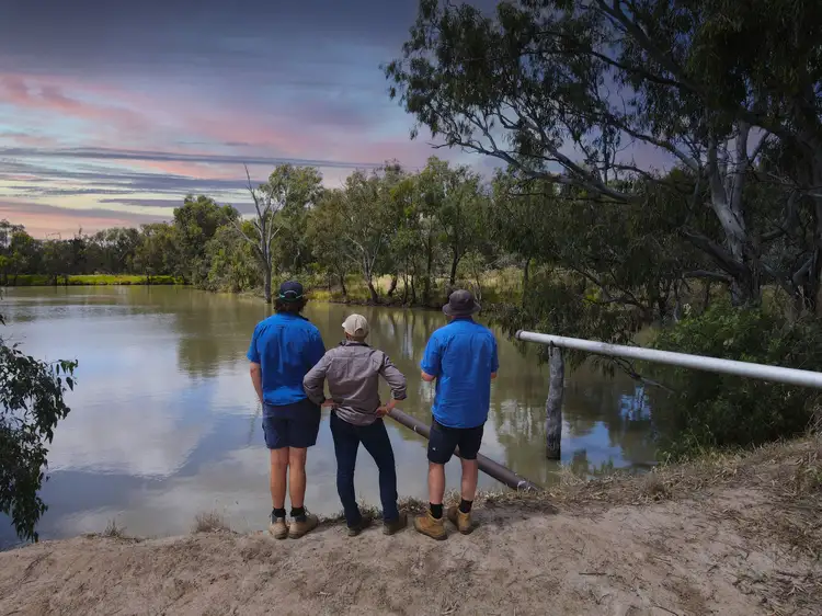 Sixth view of Homely rural property listing, 233 Warbilla Road, Barmedman NSW 2668
