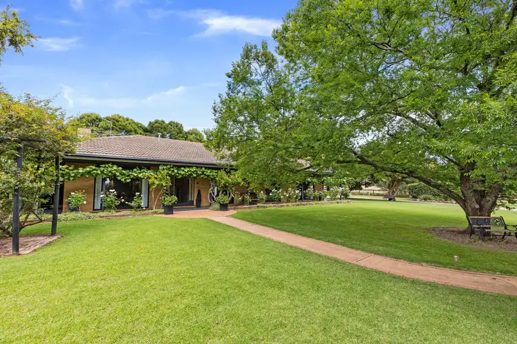 Main view of Homely house listing, 25 Cummins Drive, San Isidore NSW 2650