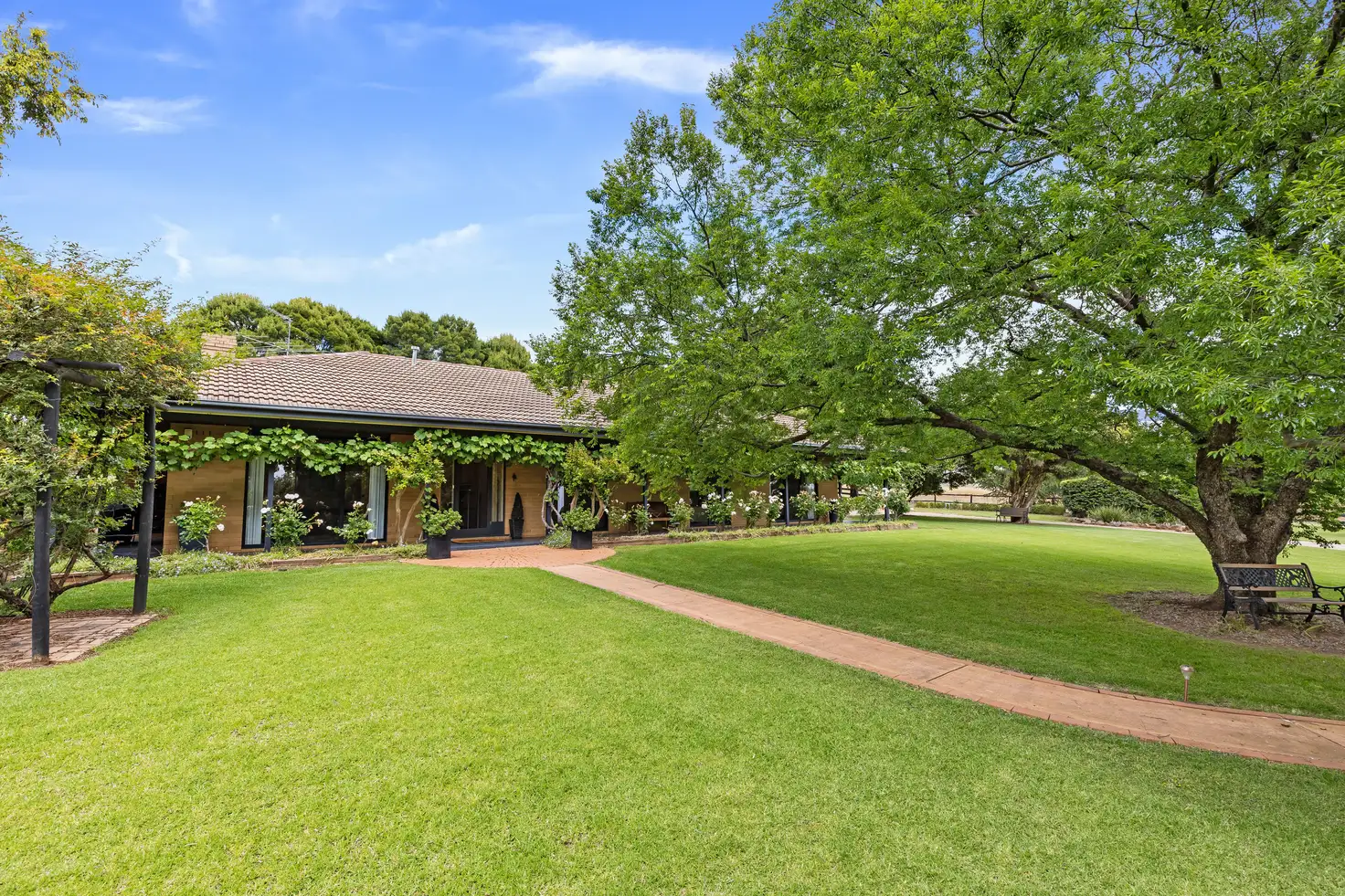 Main view of Homely house listing, 25 Cummins Drive, San Isidore NSW 2650