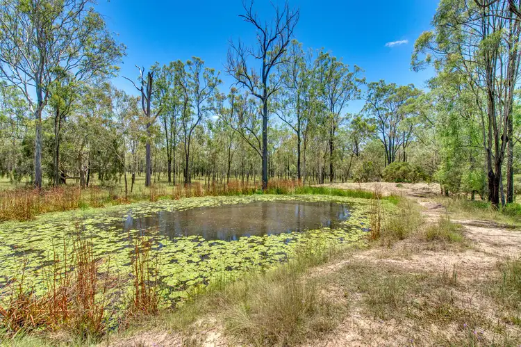 Main view of Homely land listing, 66-94 Tea Tree Avenue, Mount Forbes QLD 4340