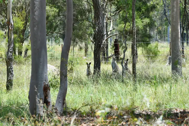 Second view of Homely land listing, 66-94 Tea Tree Avenue, Mount Forbes QLD 4340