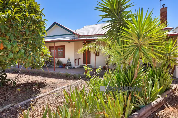 Main view of Homely house listing, 229 Carwarp Avenue, Irymple VIC 3498