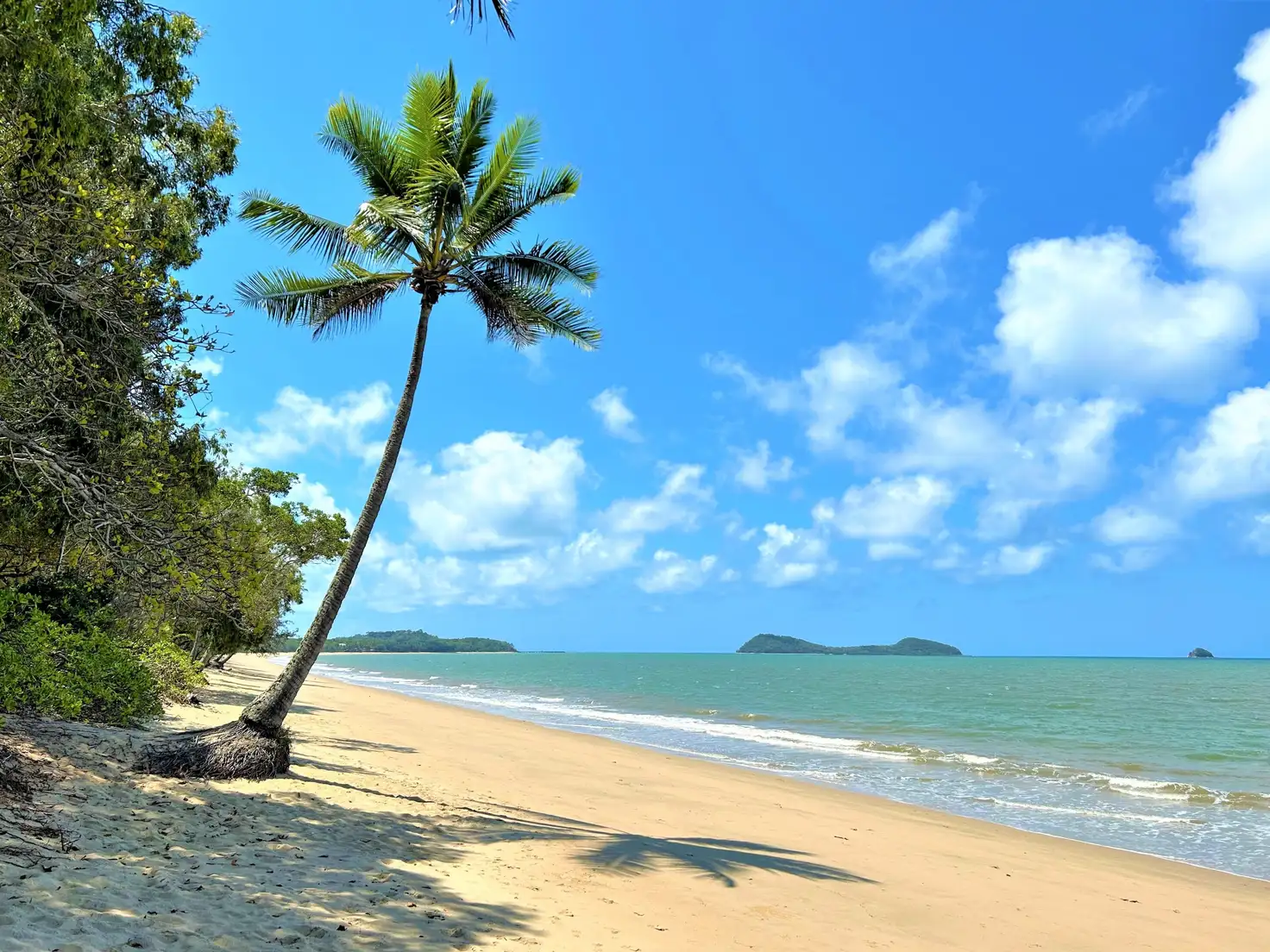 Main view of Homely unit listing, LEVEL 2 at 95 Arlington Esplanade, Clifton Beach QLD 4879