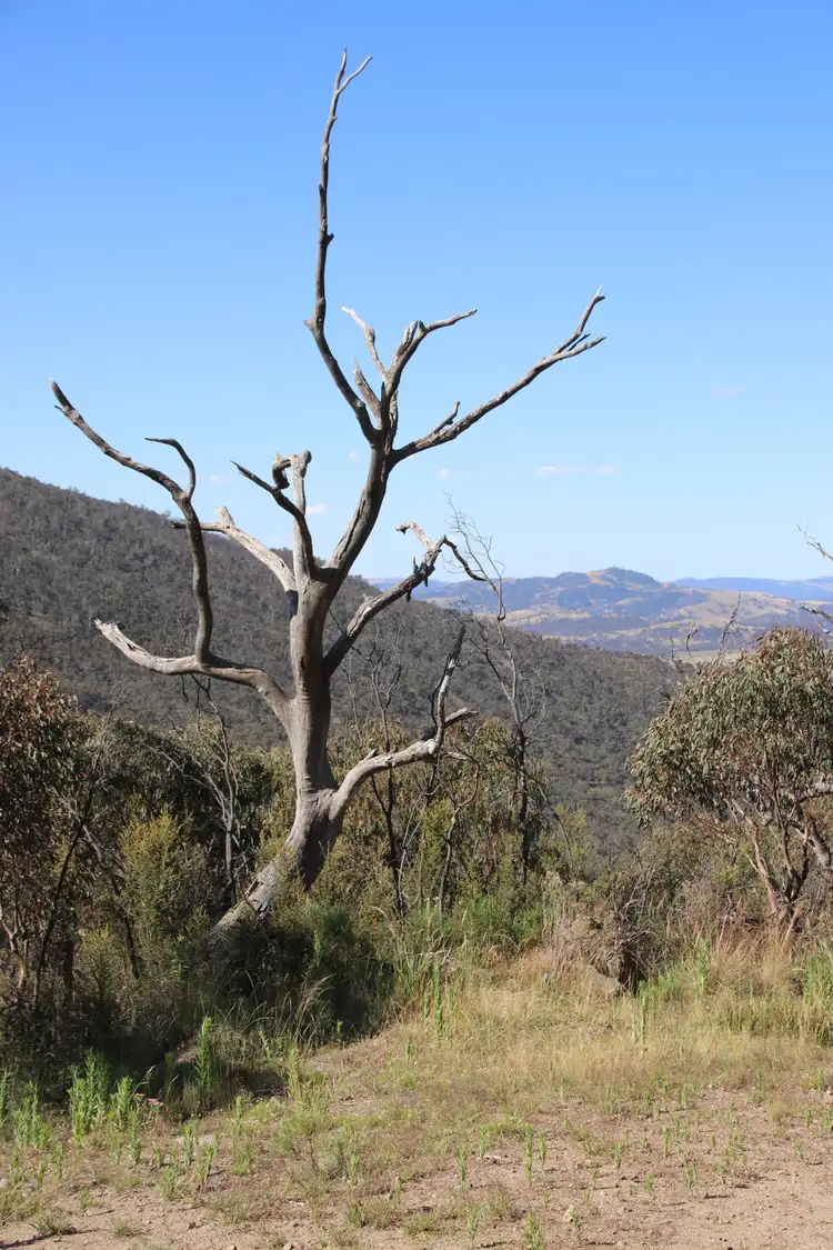 Second view of Homely land listing, 2617 Smiths Road, Clear Range NSW 2620