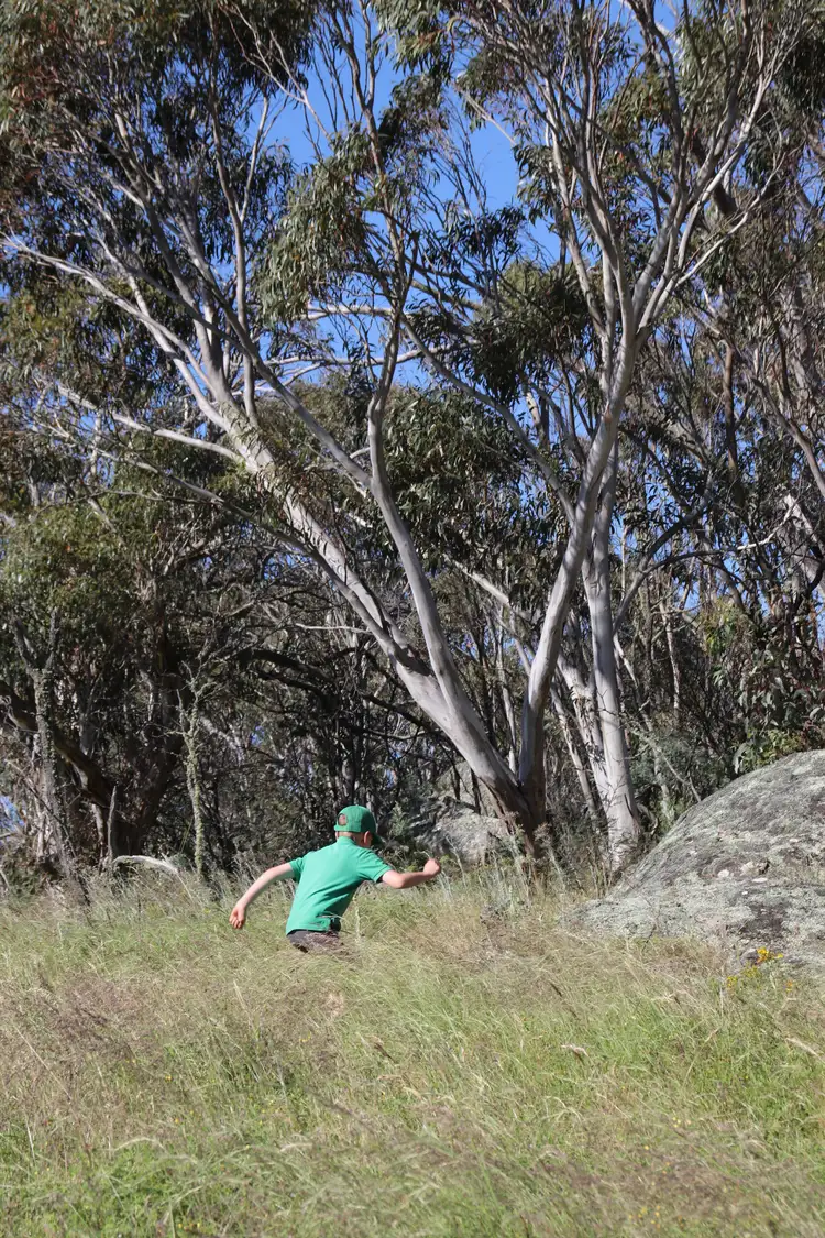 Third view of Homely land listing, 2617 Smiths Road, Clear Range NSW 2620