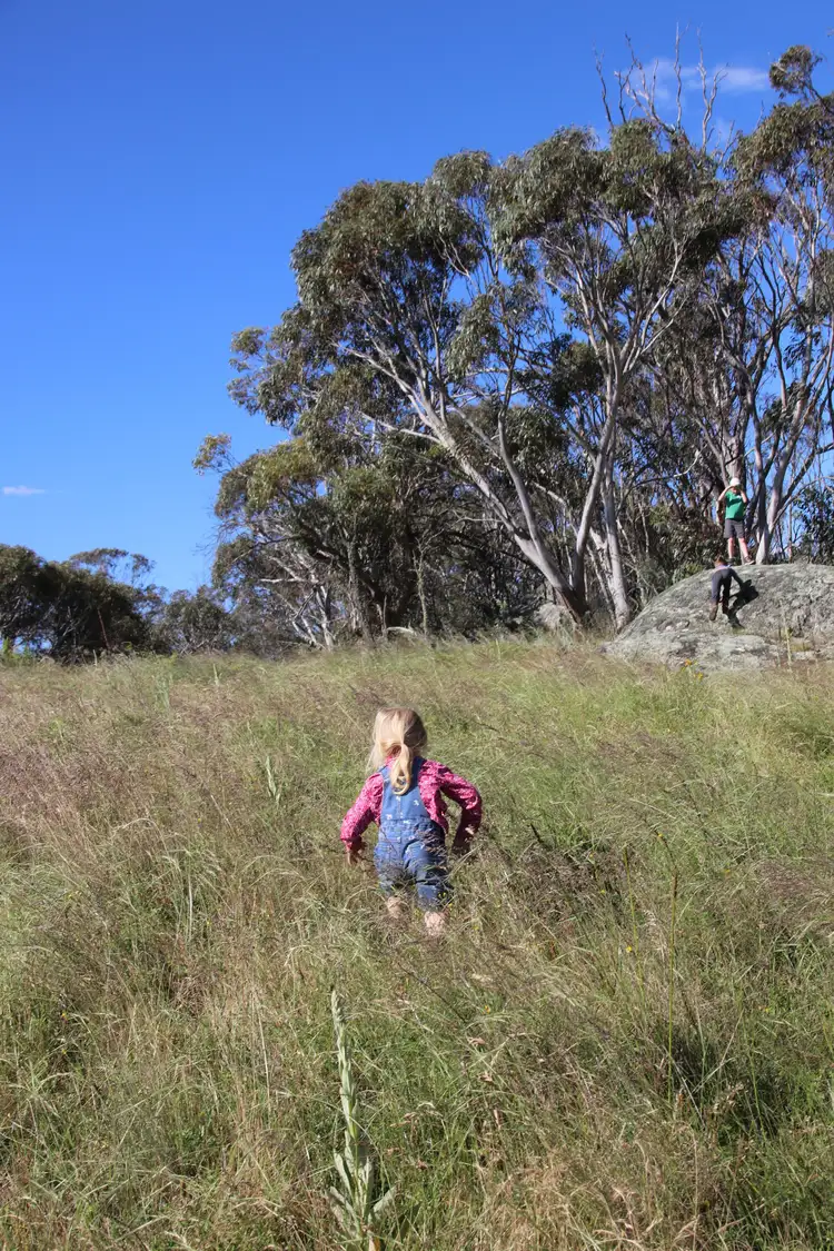 Fourth view of Homely land listing, 2617 Smiths Road, Clear Range NSW 2620