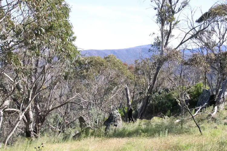 Sixth view of Homely land listing, 2617 Smiths Road, Clear Range NSW 2620