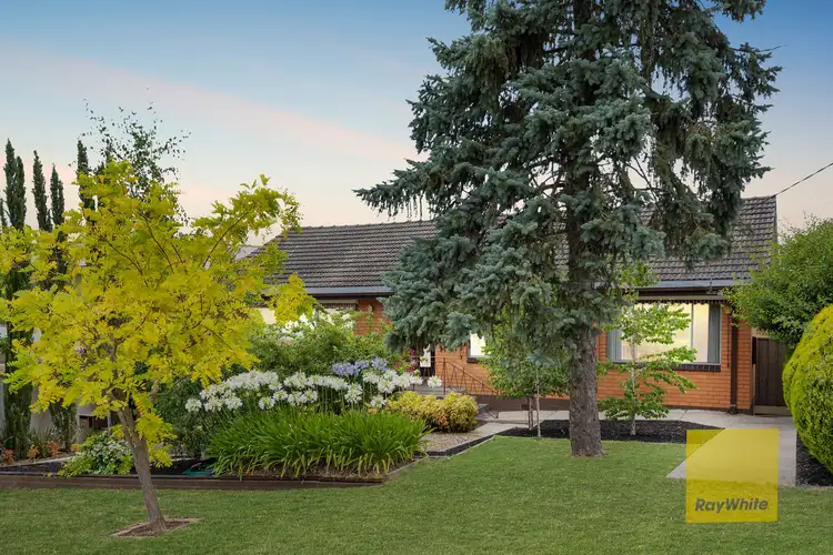 Main view of Homely house listing, 17 Linton Lane, Highton VIC 3216