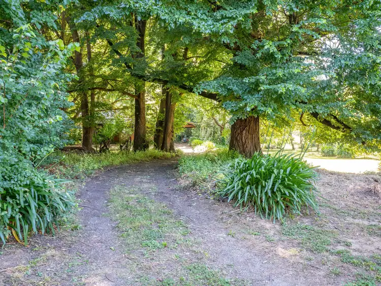 Seventh view of Homely house listing, 19-21 Maude Street, Myrtleford VIC 3737