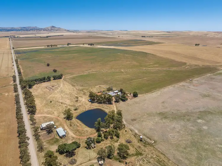 Main view of Homely rural property listing, 'Stoltes' Kolinda Road, Mount Bryan SA 5418