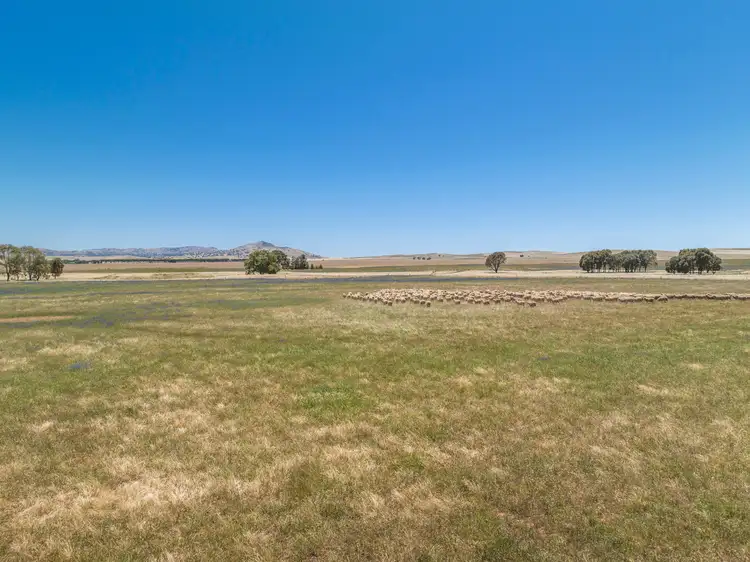 Second view of Homely rural property listing, 'Stoltes' Kolinda Road, Mount Bryan SA 5418