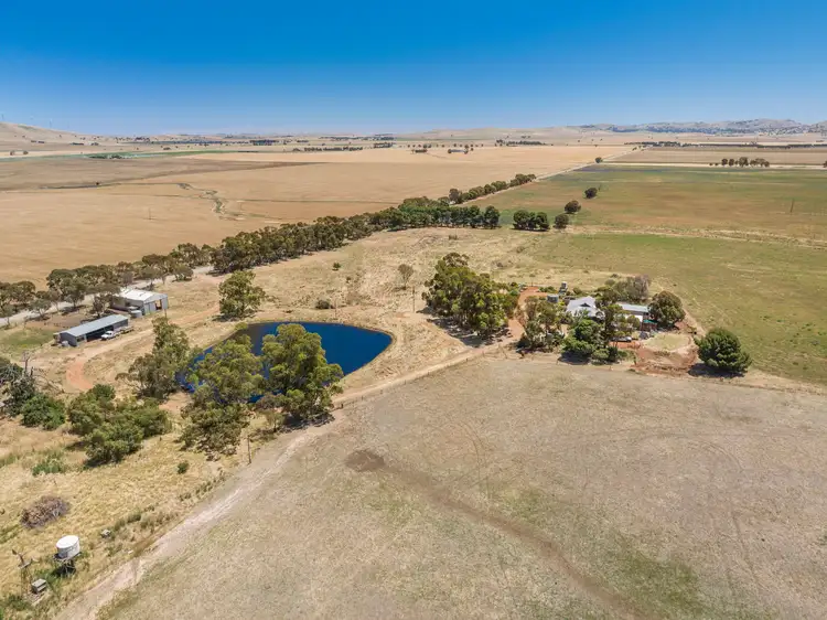 Third view of Homely rural property listing, 'Stoltes' Kolinda Road, Mount Bryan SA 5418