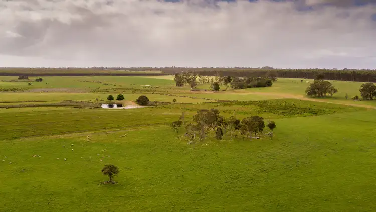 Main view of Homely rural property listing, 309 Greeuw Road, Narrikup WA 6326