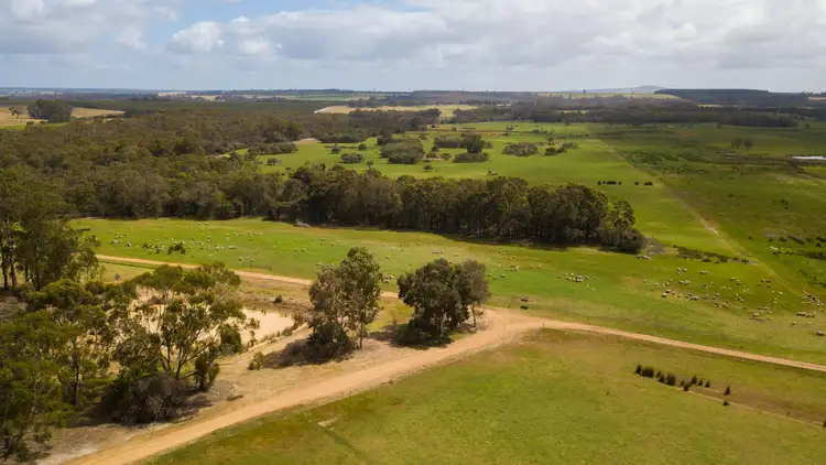 Seventh view of Homely rural property listing, 309 Greeuw Road, Narrikup WA 6326