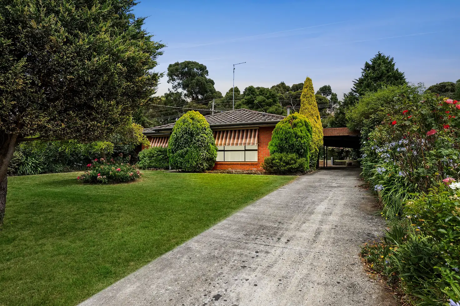 Main view of Homely house listing, 10 Melvyn Crescent, Mount Clear VIC 3350