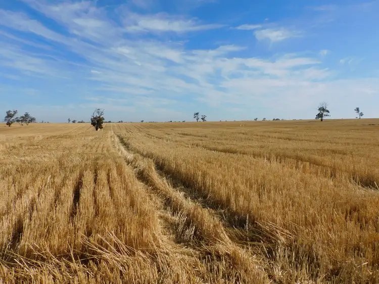 Main view of Homely rural property listing, Proposed Lot Langley Road, Bordertown SA 5268