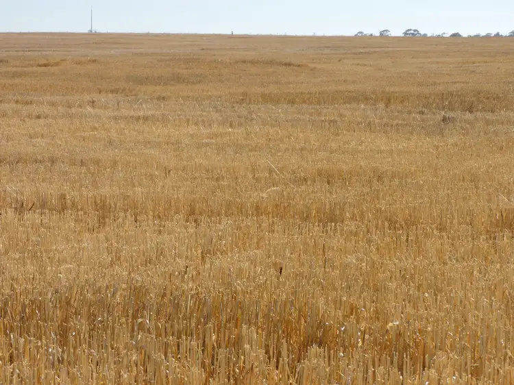 Second view of Homely rural property listing, Proposed Lot Langley Road, Bordertown SA 5268