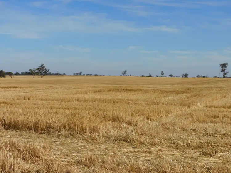 Fifth view of Homely rural property listing, Proposed Lot Langley Road, Bordertown SA 5268