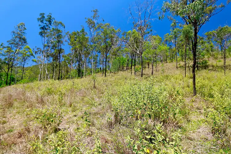 Fifth view of Homely rural property listing, "TINPOT" MONOMEATH Road, Diglum QLD 4680