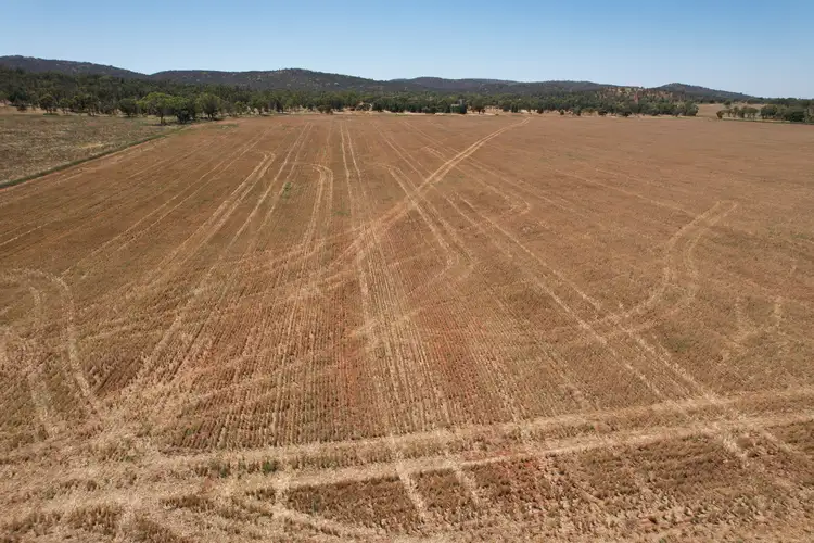 Second view of Homely rural property listing, 359 Bootoowa Road, Lake Cargelligo NSW 2672