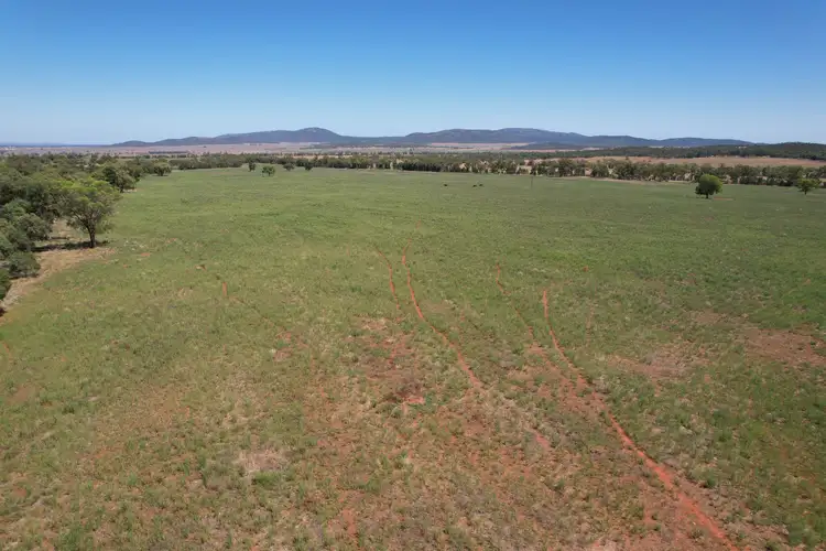 Third view of Homely rural property listing, 359 Bootoowa Road, Lake Cargelligo NSW 2672