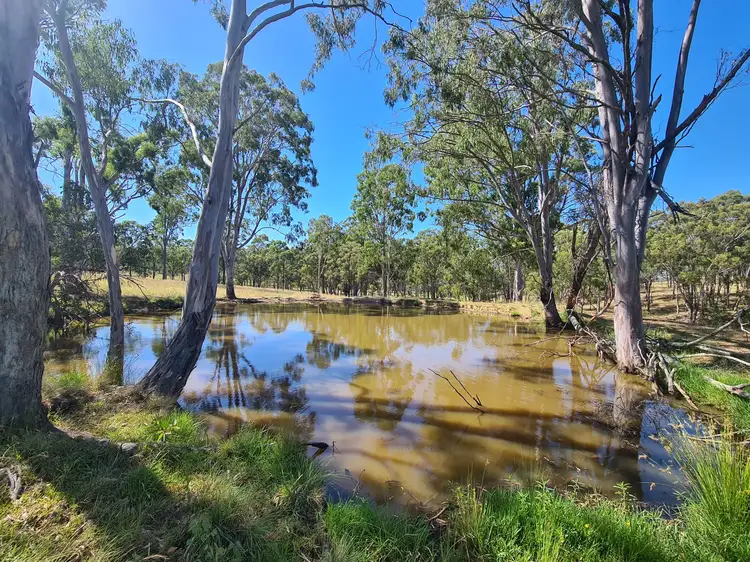 Sixth view of Homely rural property listing, 5272 New England Highway, Crows Nest QLD 4355