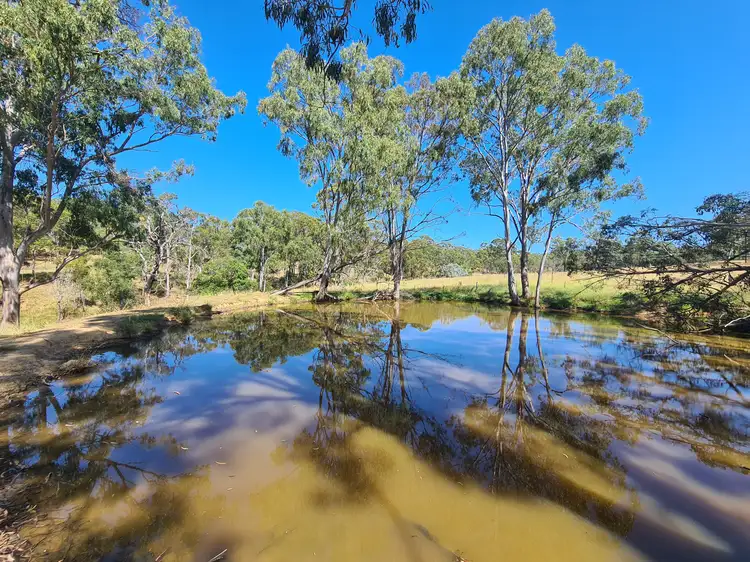 Seventh view of Homely rural property listing, 5272 New England Highway, Crows Nest QLD 4355