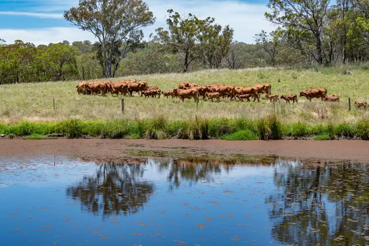 Fifth view of Homely rural property listing, 28 Crystal Mountain Road, Dalveen QLD 4374