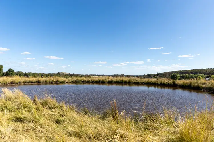 Third view of Homely rural property listing, 'Marraweeney' 798 Boorolong Road, Armidale NSW 2350