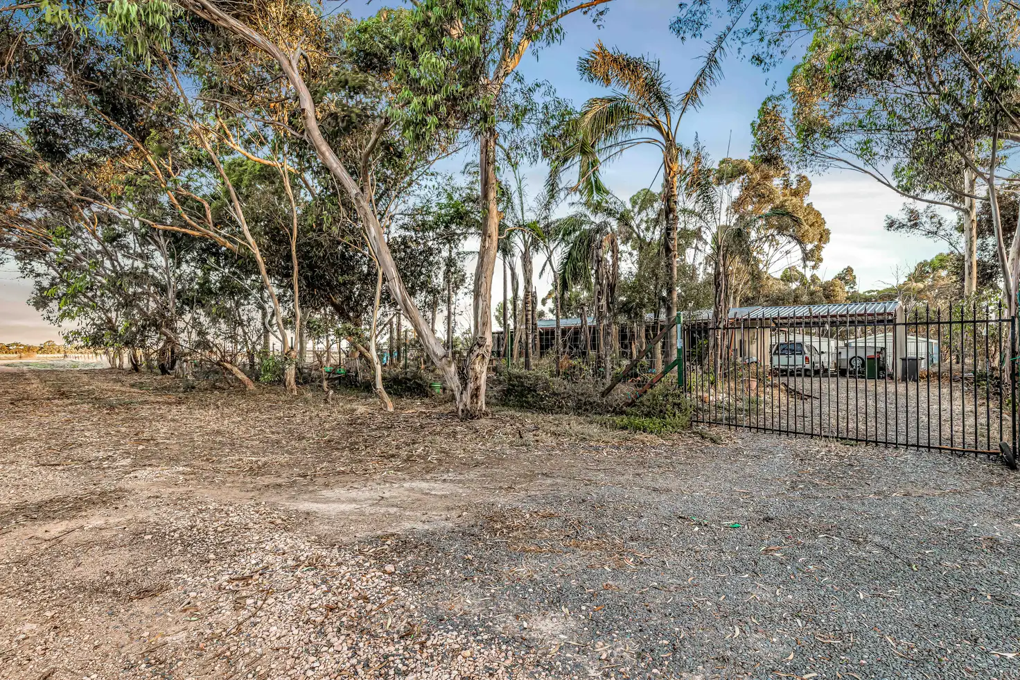 Main view of Homely house listing, 14 Peppermint Road, Lewiston SA 5501