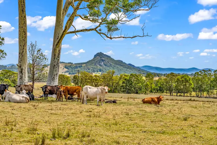 169 Gloucester Tops Road, Gloucester NSW 2422