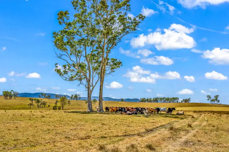 Seventh view of Homely rural property listing, 169 Gloucester Tops Road, Gloucester NSW 2422