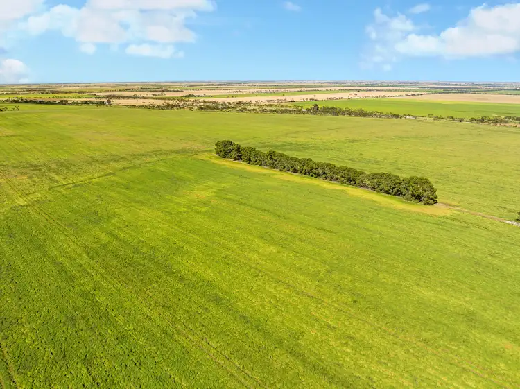 Main view of Homely rural property listing, 'Halls' Dale Road, Owen SA 5460