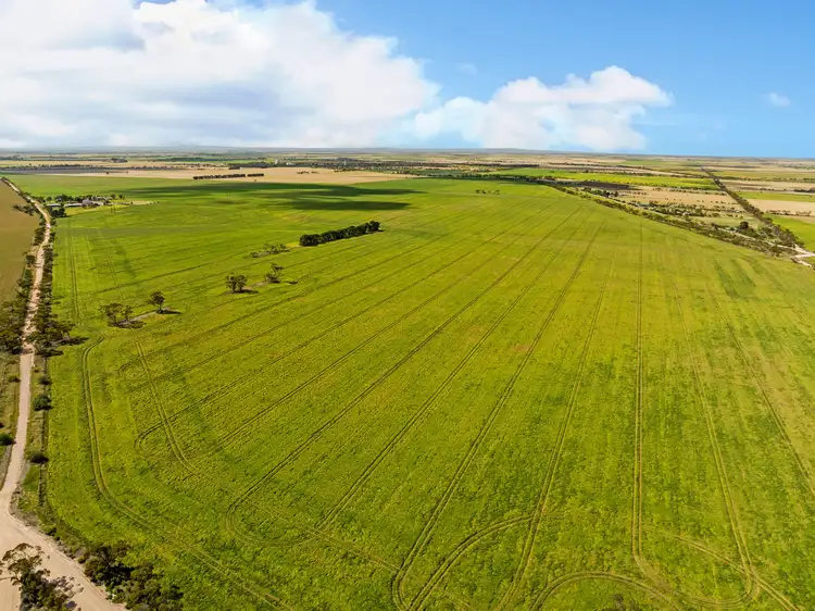 Second view of Homely rural property listing, 'Halls' Dale Road, Owen SA 5460