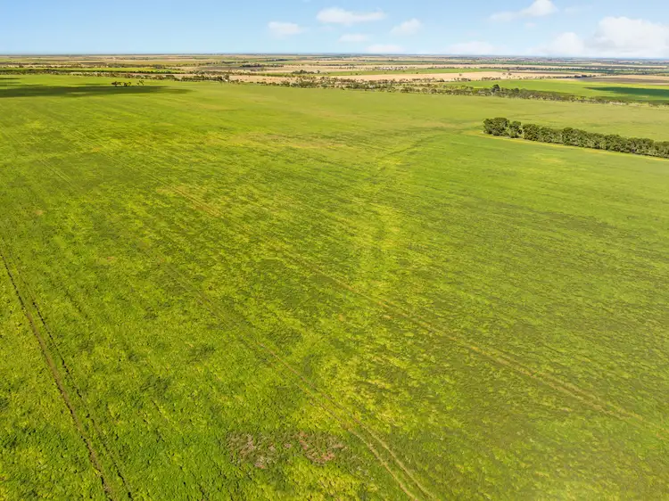 Third view of Homely rural property listing, 'Halls' Dale Road, Owen SA 5460