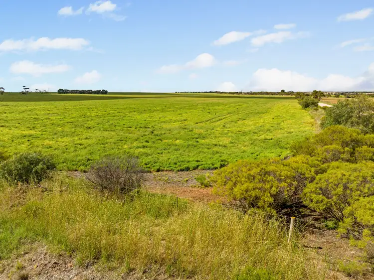 Fifth view of Homely rural property listing, 'Halls' Dale Road, Owen SA 5460