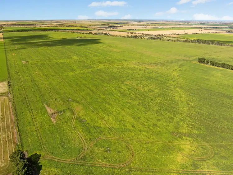 Sixth view of Homely rural property listing, 'Halls' Dale Road, Owen SA 5460
