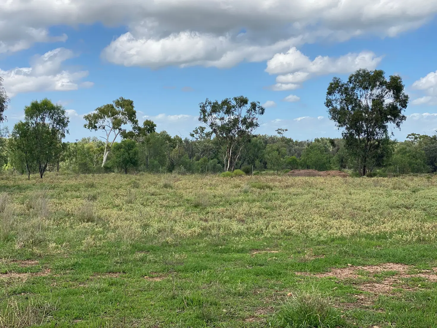 Main view of Homely land listing, LOT 14, 37 Patanga Place, Emerald QLD 4720