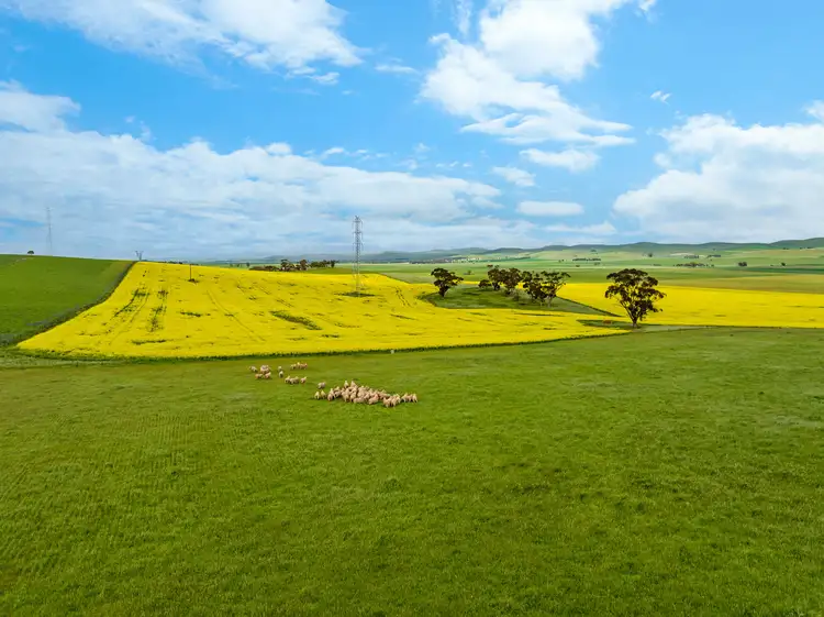 'Amra Park' The Bluff Road, Willalo SA 5419