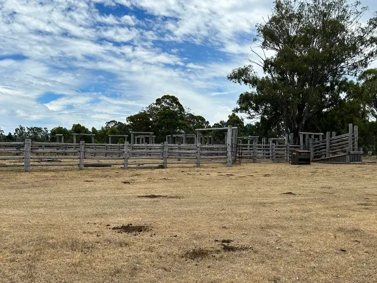 Second view of Homely rural property listing, 658 Mount Myrtle Road, Kowguran QLD 4415