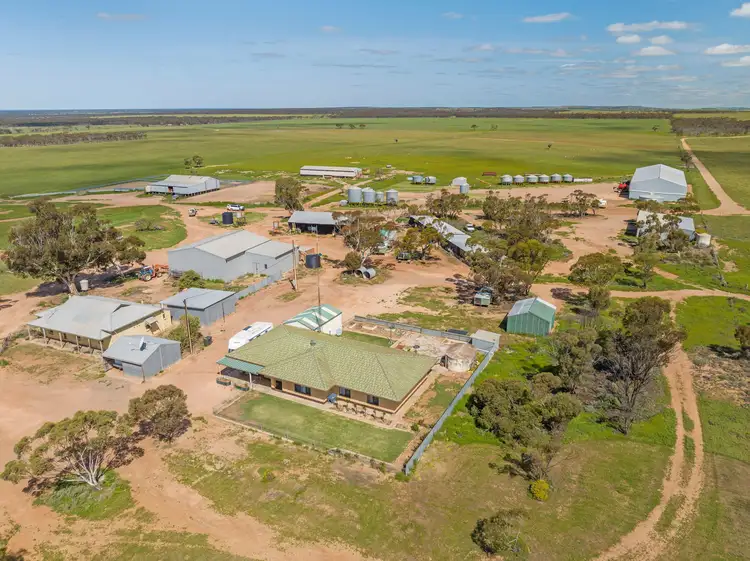 Main view of Homely rural property listing, 'Wilkschs' Stock Route Road, Robertstown SA 5381
