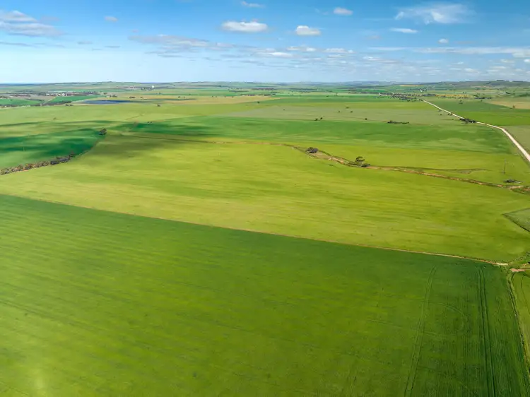 Fifth view of Homely rural property listing, 'Wilkschs' Stock Route Road, Robertstown SA 5381