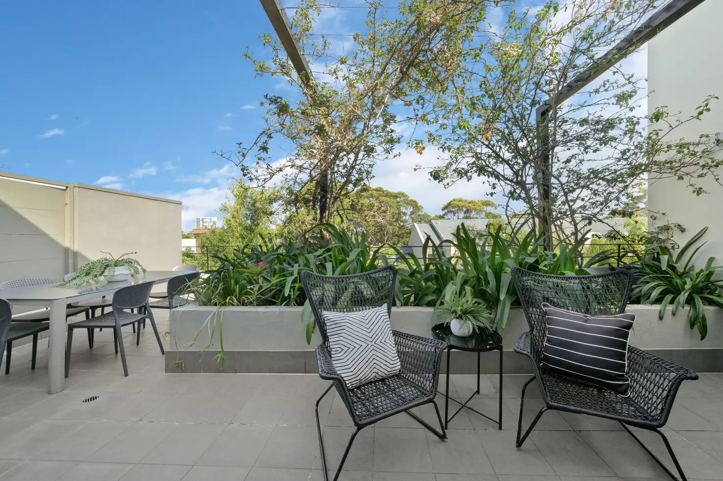 Main view of Homely apartment listing, 29/125 Euston Road, Alexandria NSW 2015