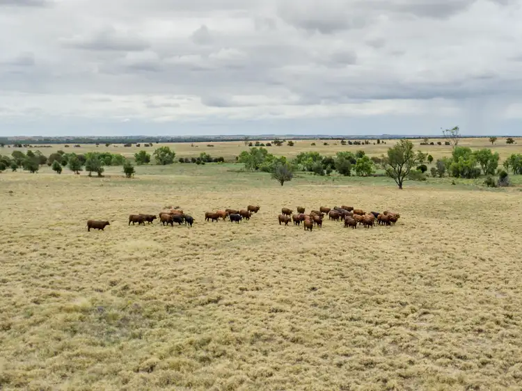 Second view of Homely rural property listing, 2842 Bundi Road, Wandoan QLD 4419