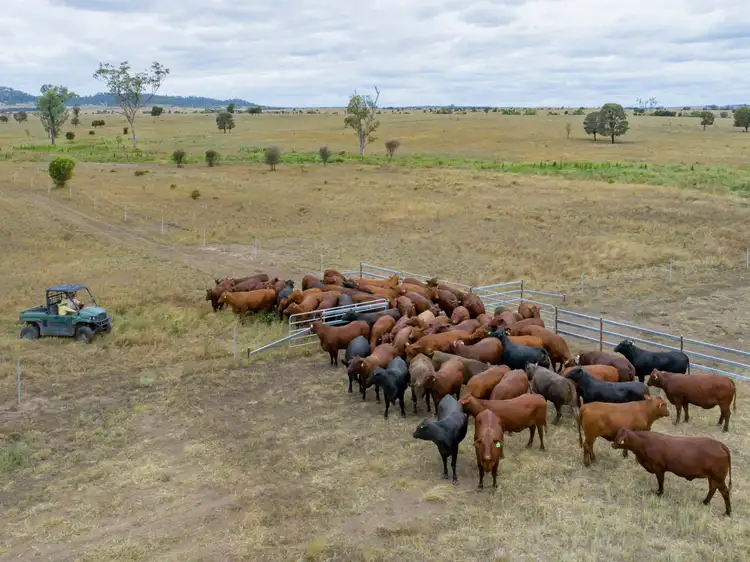 Fourth view of Homely rural property listing, 2842 Bundi Road, Wandoan QLD 4419