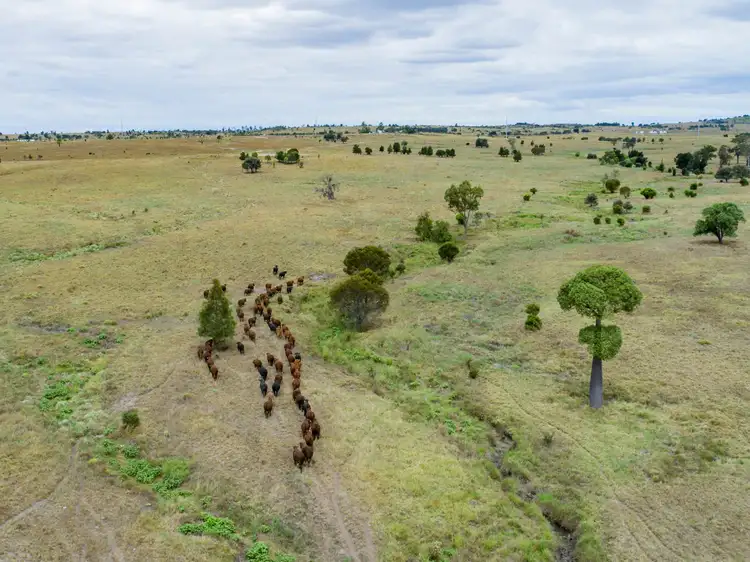 Seventh view of Homely rural property listing, 2842 Bundi Road, Wandoan QLD 4419