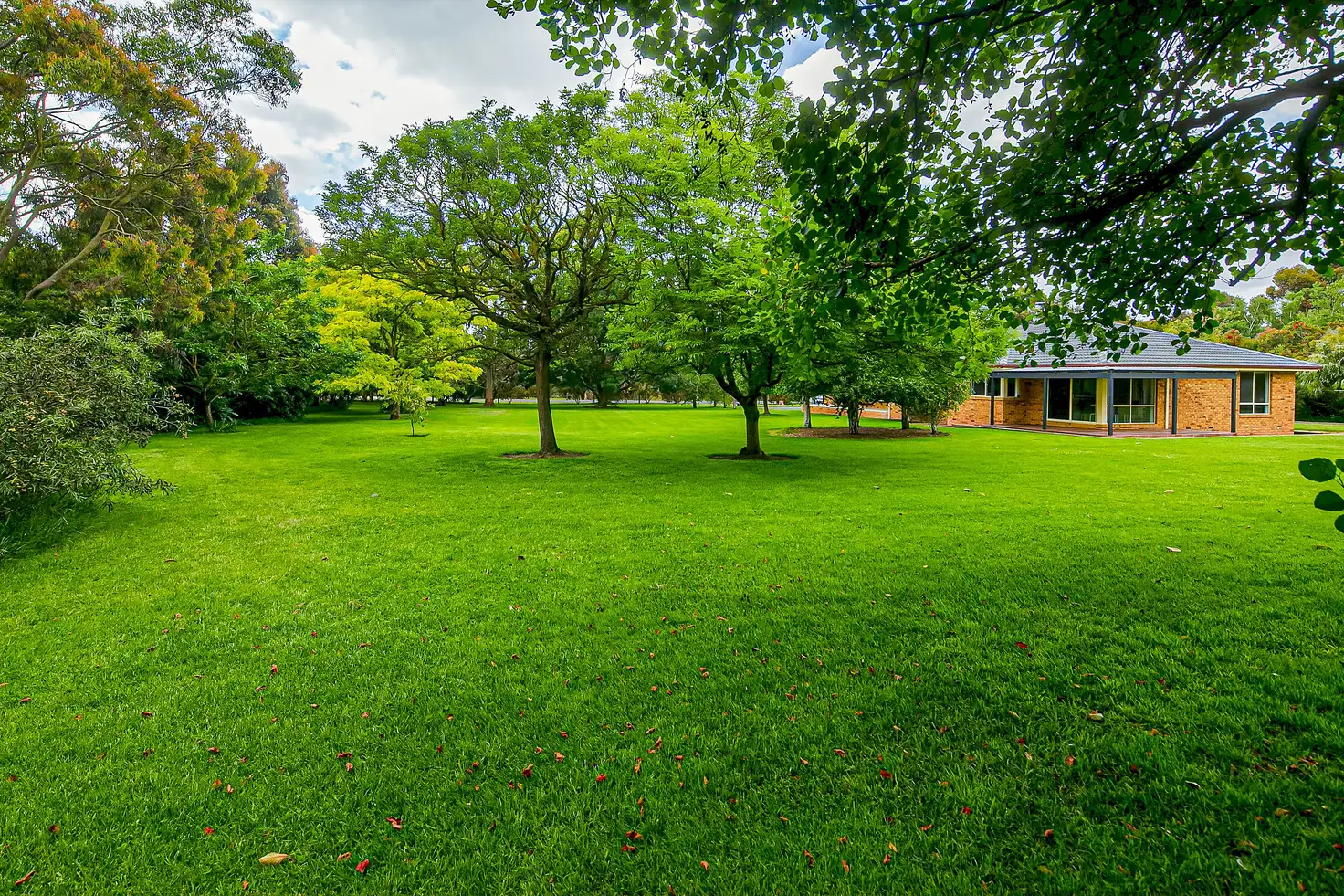 Main view of Homely rural property listing, 45 Leisureland Drive, Langwarrin VIC 3910
